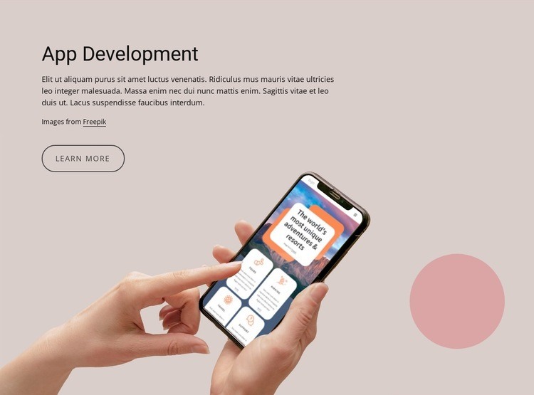 Custom web application development services Homepage Design