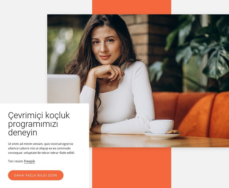 Çevrimiçi koçluk programı CSS Şablonu