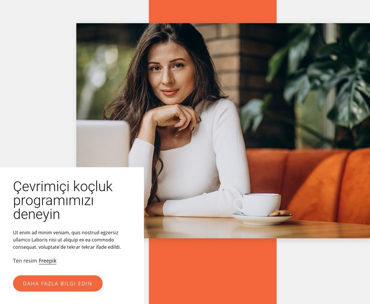 Çevrimiçi koçluk programı HTML Şablonu