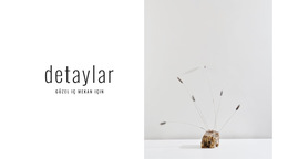 Güzel Iç Mekanlar Için Detaylar - Profesyonel Web Sitesi Şablonu