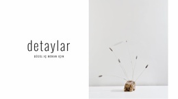 Güzel Iç Mekanlar Için Detaylar Için Kullanıma Hazır Site Tasarımı