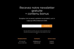 Obtenez Du Contenu Bonus – Thème WordPress Gratuit