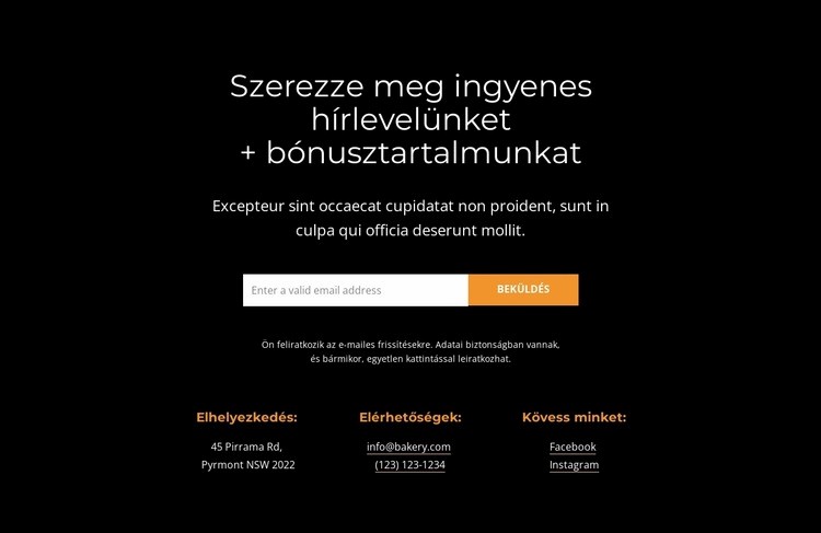 Szerezzen bónusz tartalmat Weboldal sablon