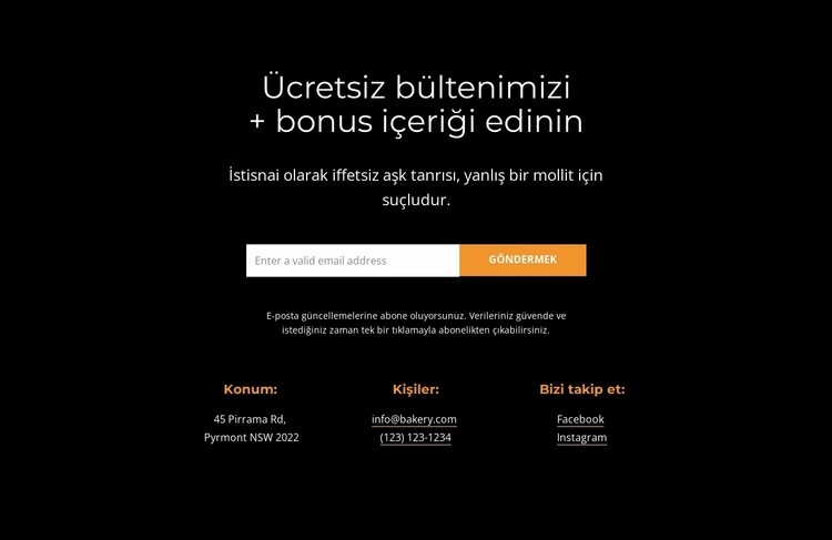 Bonus içerik al Html Web Sitesi Oluşturucu