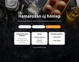 Hamarosan Új Honlap – WordPress Téma Inspirációja