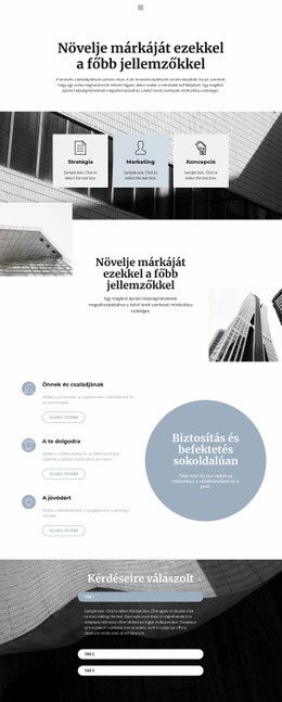 Nagyvállalatok Szervezése - Céloldal Sablon