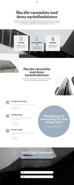 Organisation Av Stora Företag - Målsidesmall