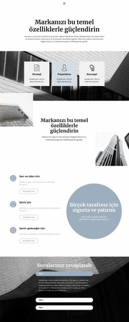 Büyük Işletmelerin Organizasyonu - Web Sitesi Prototipi