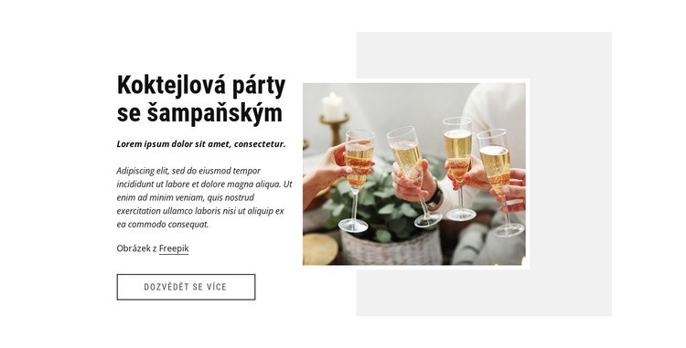 Koktejlová párty Šablona HTML