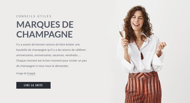 Marques de champagne Maquette de site Web