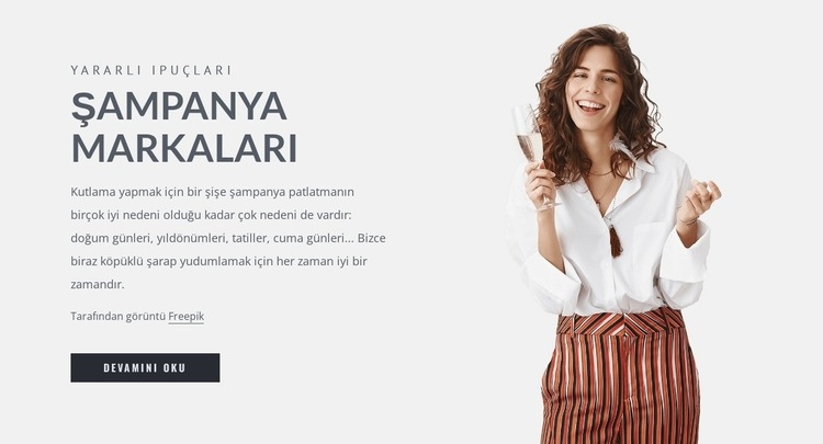 Şampanya markaları HTML5 Şablonu