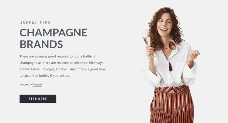 Champagne brands Webflow Template Alternative