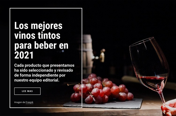 Los mejores vinos para beber Maqueta de sitio web