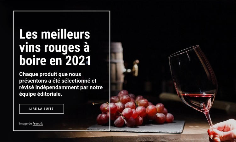 Les meilleurs vins à boire Modèle CSS