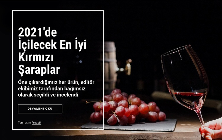 İçilecek en iyi şaraplar Web sitesi tasarımı