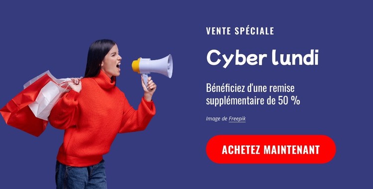 Vente spéciale Modèle CSS