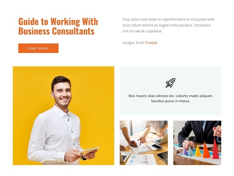 Guide to working business consultations Elementor Template Alternative