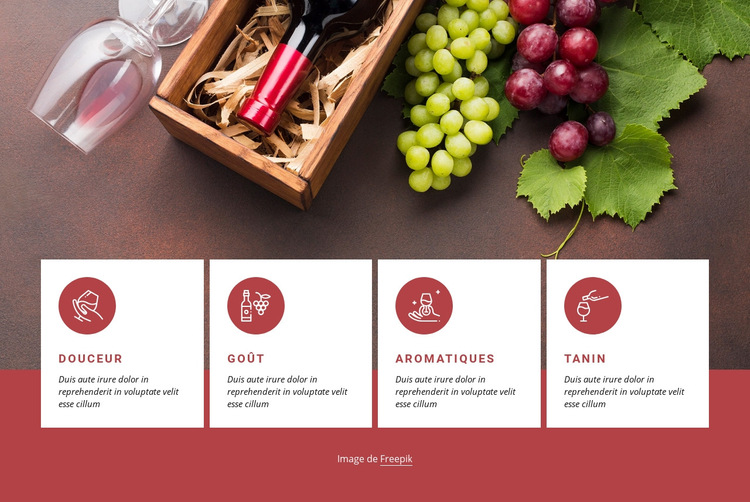 Premiers pas avec le vin Modèle de site Web