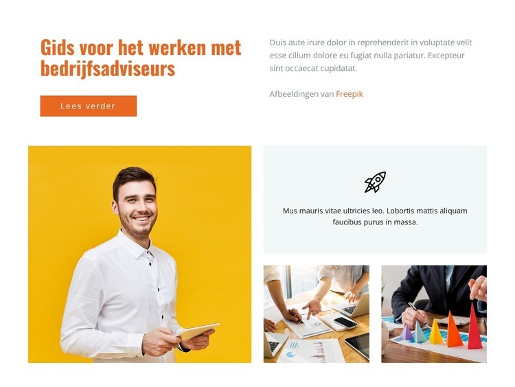 Gids voor werkende zakelijke consultaties Bestemmingspagina