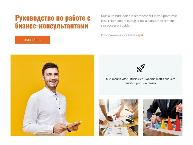 Руководство по рабочим бизнес-консультациям Дизайн сайта