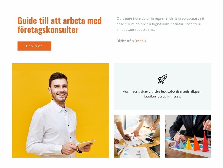 Guide till fungerande affärskonsultationer CSS -mall