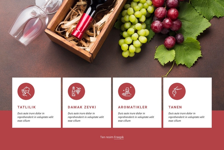 Şarapla Başlarken Web sitesi tasarımı
