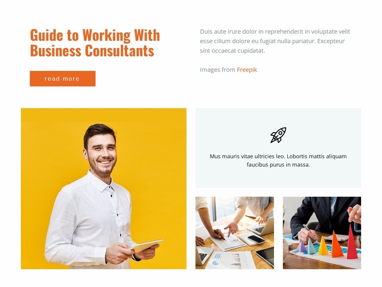 Guide to working business consultations Website Mockup