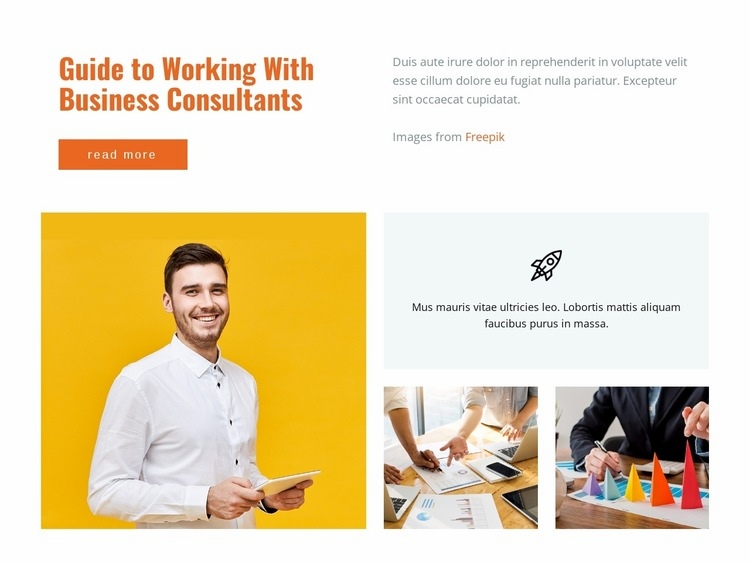 Guide to working business consultations Wix Template Alternative