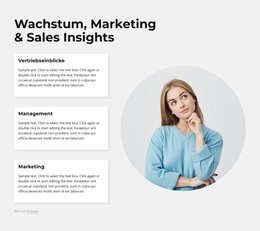 Einblicke In Marketing Und Vertrieb – Premium-WordPress-Theme