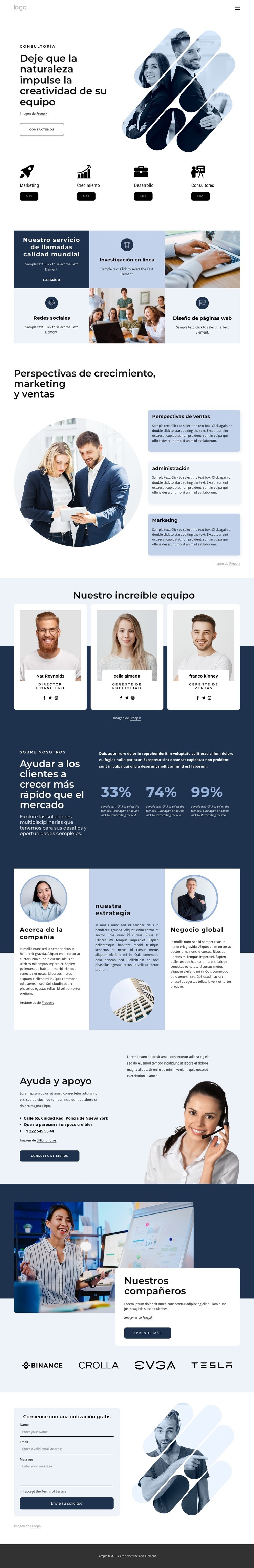 Consultores de gestión Plantillas de creación de sitios web