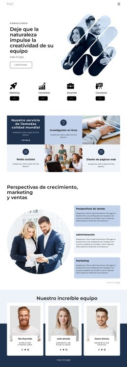 Diseño De Sitio Listo Para Usar Para Consultores De Gestión