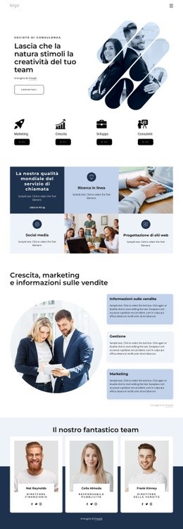 Design Del Sito Pronto All'Uso Per Consulenti Di Direzione