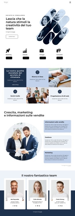 Consulenti Di Direzione - Mockup Di Sito Web Gratuito