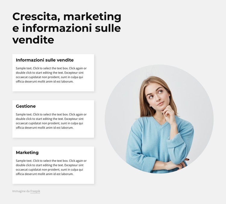 Analisi di marketing e vendite Mockup del sito web