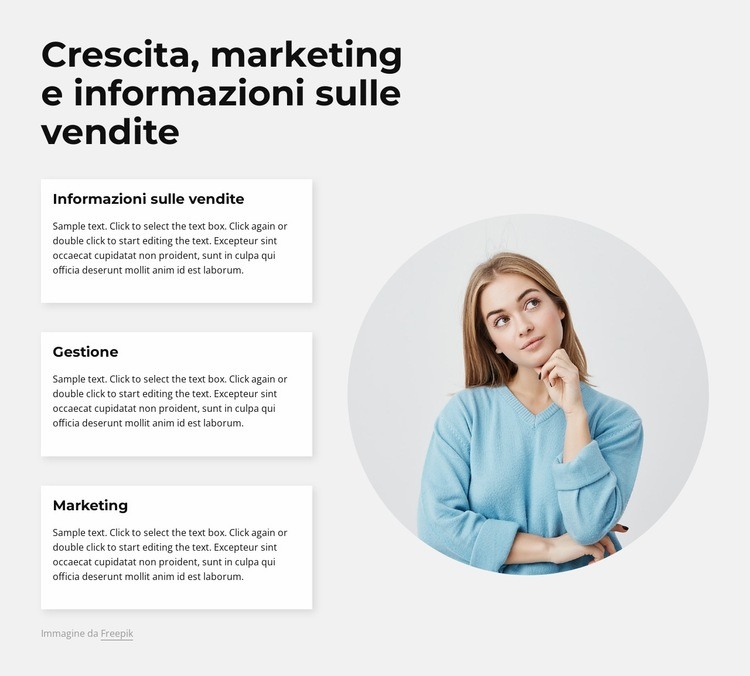 Analisi di marketing e vendite Modello