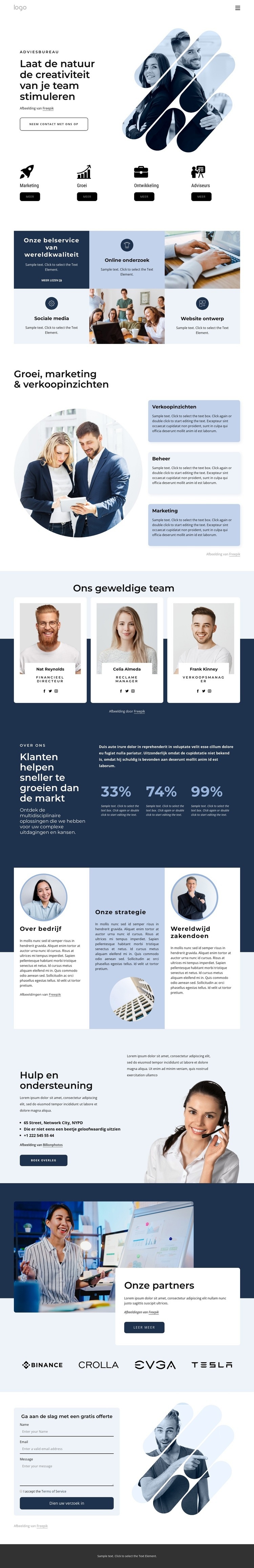 Management consultants Website ontwerp