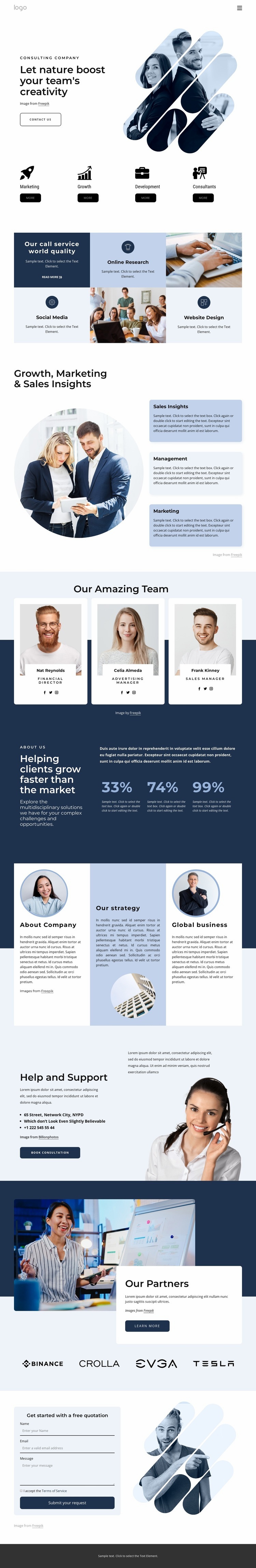 Management consultants Squarespace Template Alternative