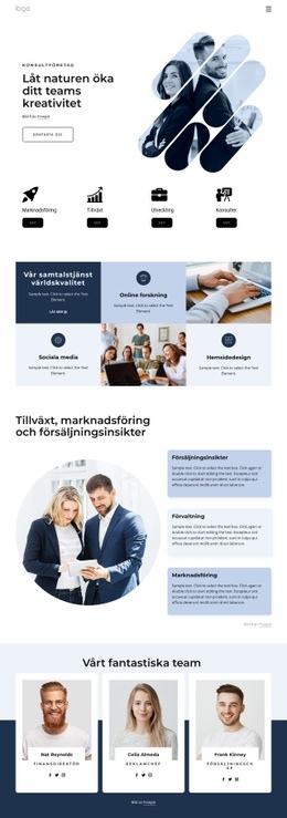 HTML-Webbplats För Managementkonsulter