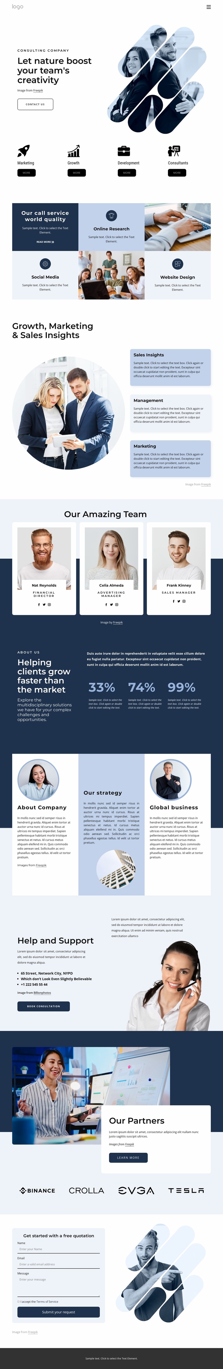 Management consultants eCommerce Template