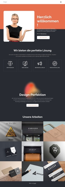 Perfekte Lösungen – Schönes WordPress-Theme
