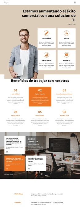 Diseño Web Gratuito Para Consultoria De Soluciones Informaticas