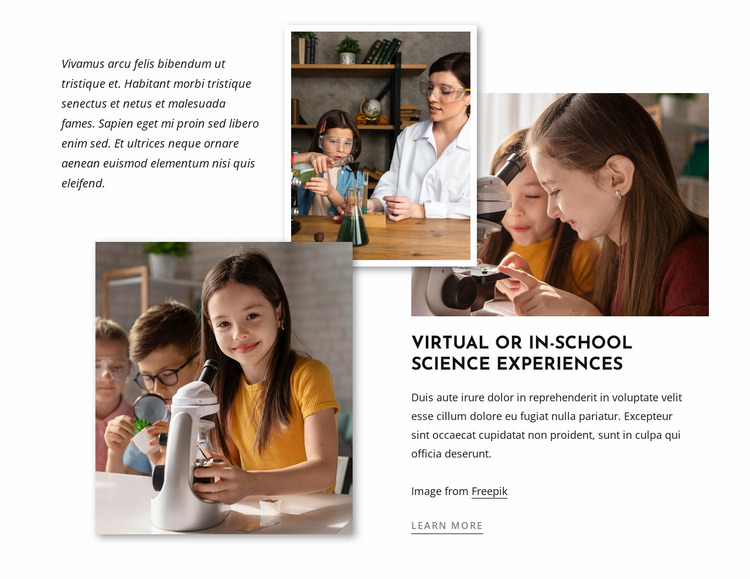 Science experiments for kids Website Mockup