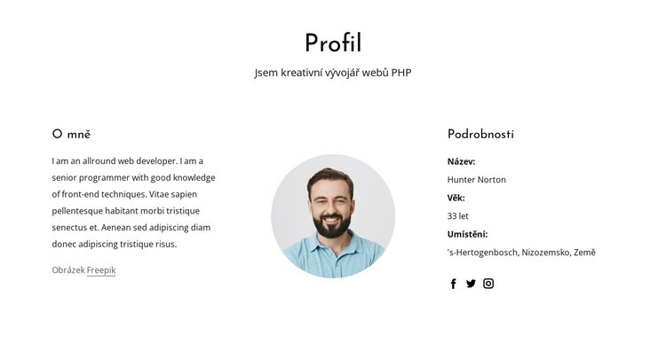 Profil práce webového vývojáře Šablona CSS