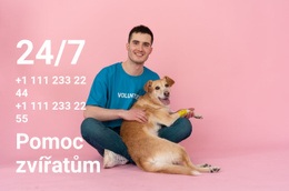 Nepřetržitá Pomoc Zvířatům – Šablona Jedné Stránky