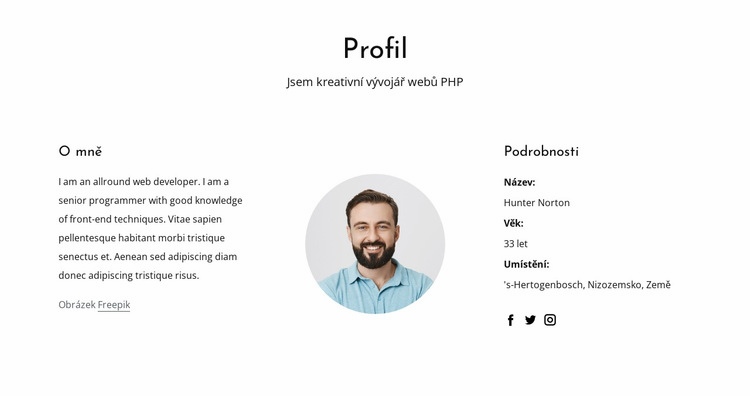 Profil práce webového vývojáře Šablona