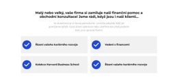 Vítěz Ceny – Responzivní Šablona Webu