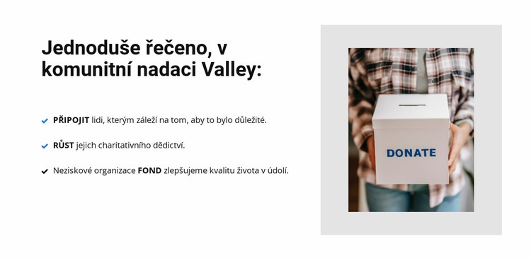 Charitativní organizace Šablona webové stránky
