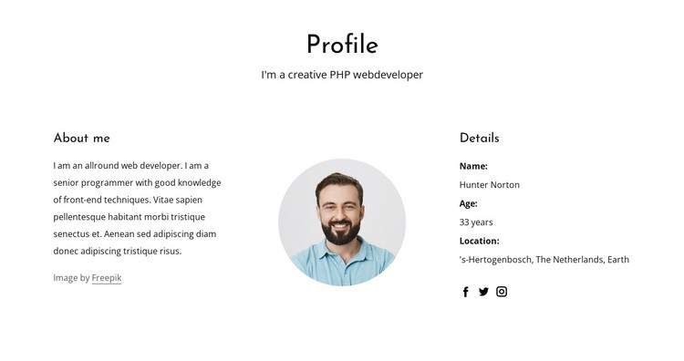 Web developer job profile CSS Template