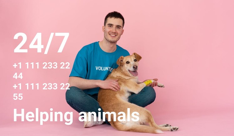 24/7 help to animals CSS Template