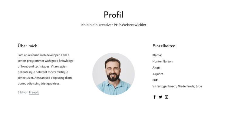 Jobprofil für Webentwickler CSS-Vorlage